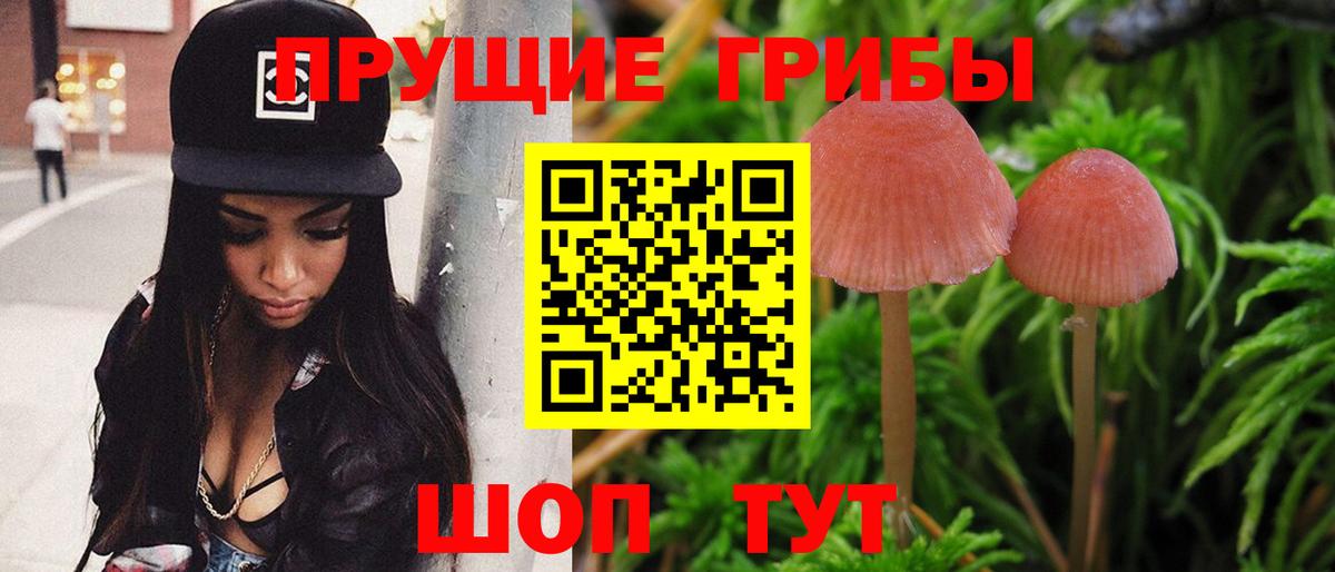 Галлюциногенные грибы мицелий  Галлюциногенные грибы GOLDEN TEACHER  Вход с VPN  Новозыбков 