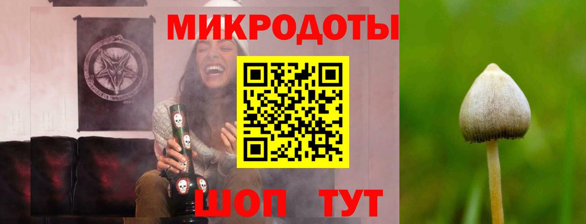 Галлюциногенные грибы мицелий Новозыбков