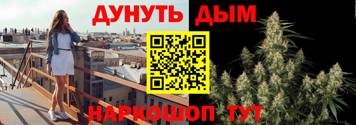 Марихуана марихуана Новозыбков