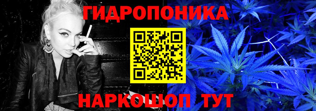 Бошки марихуана OG Kush  Бошки Шишки LSD WEED  Марихуана план  Новозыбков  Вход с VPN 